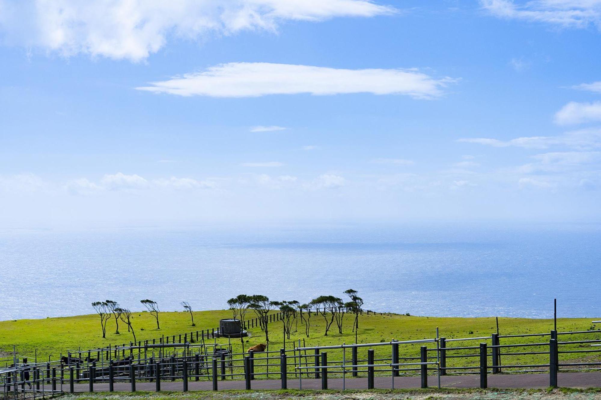 Hachijyo-Island Blue Eight -八丈島ブルーエイト- Villa Mitsune ภายนอก รูปภาพ
